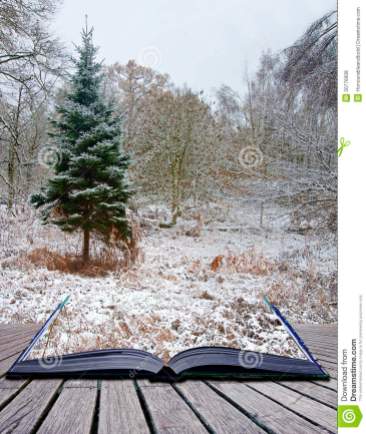 creative-concept-winter-landscape-magic-book-20776908.jpg