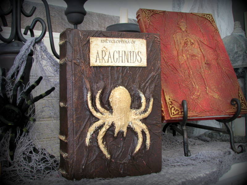 altered+arachnid+book.JPG