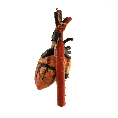 191Dr.-Auzoux-Heart-model-van-Leest-Antiques-51.jpg
